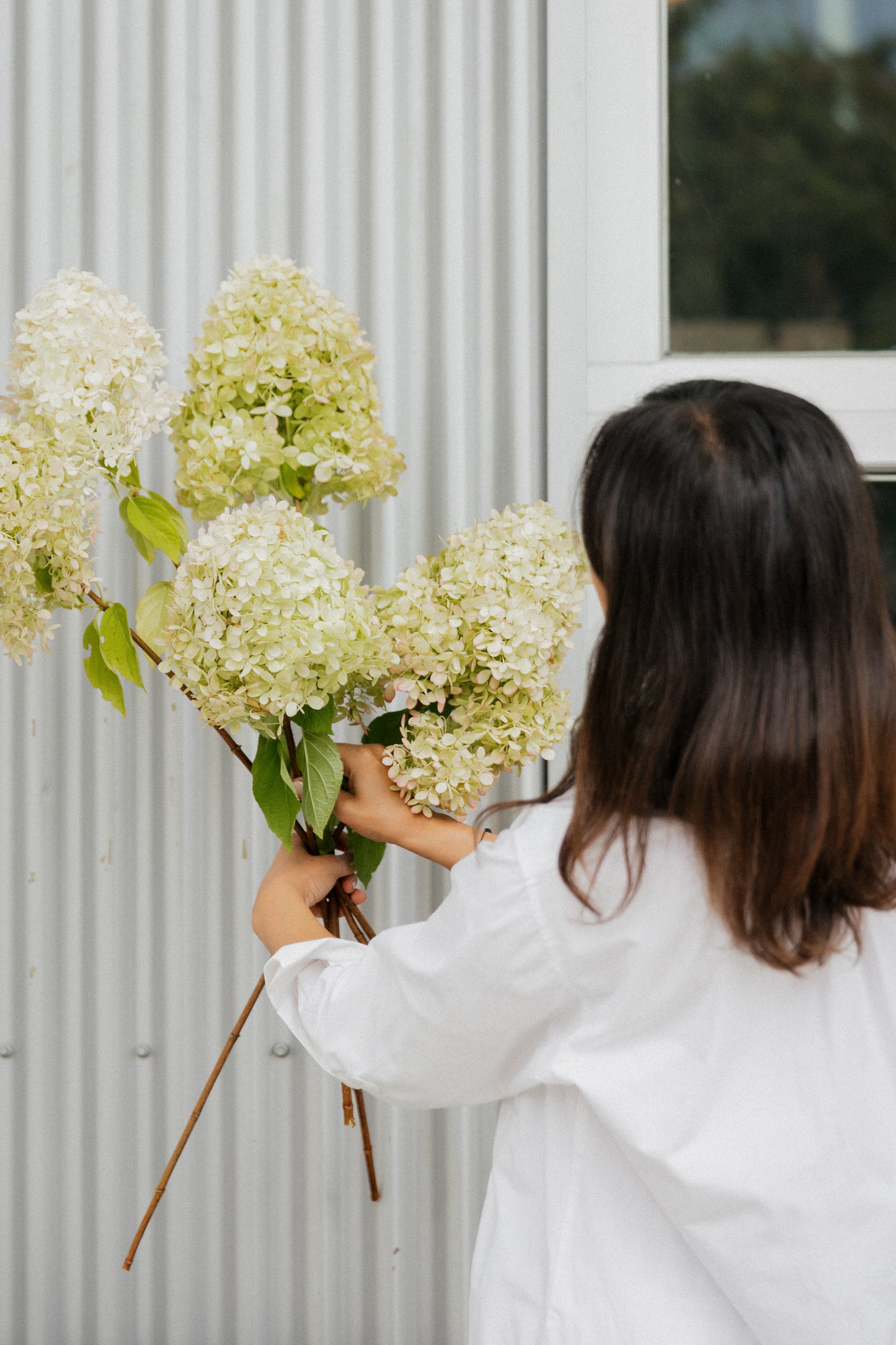 Sip & Arrange Floral Workshop