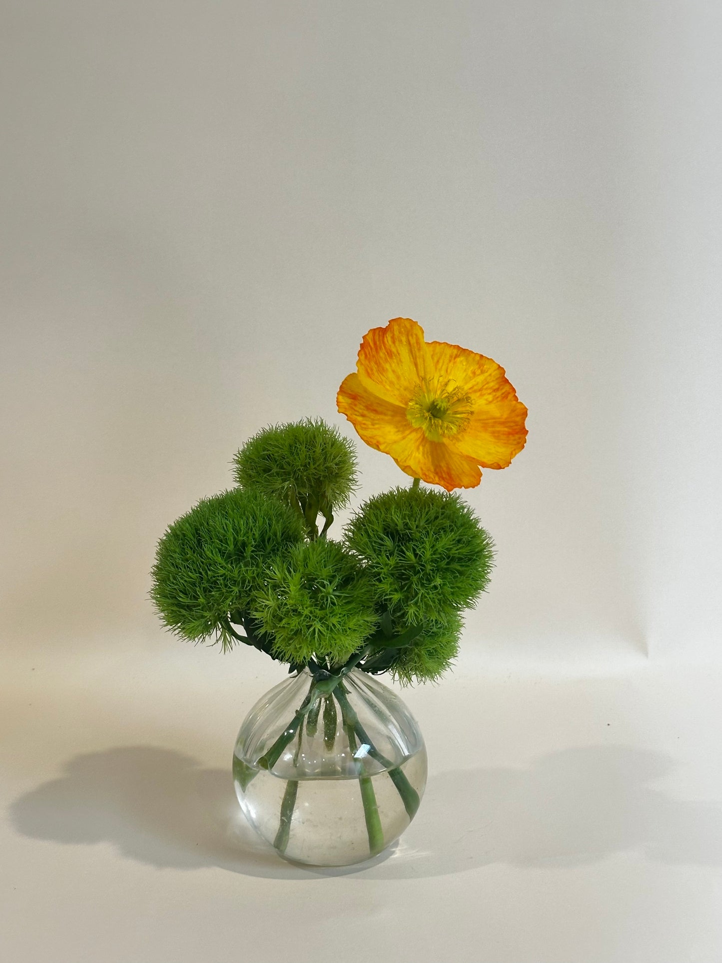 Petite Budvase