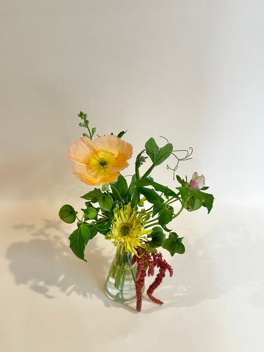 Petite Budvase